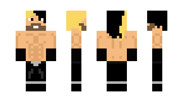 Skin wwe