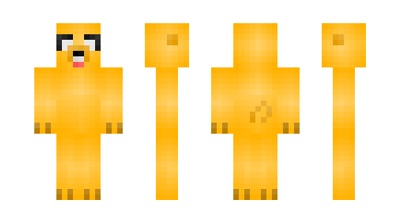 Skin xaus