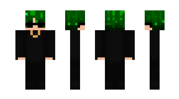 Skin zSytem