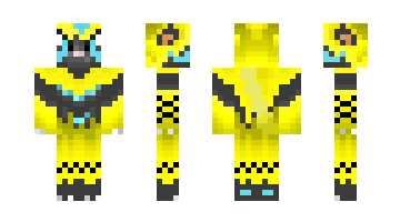 Skin zeraora